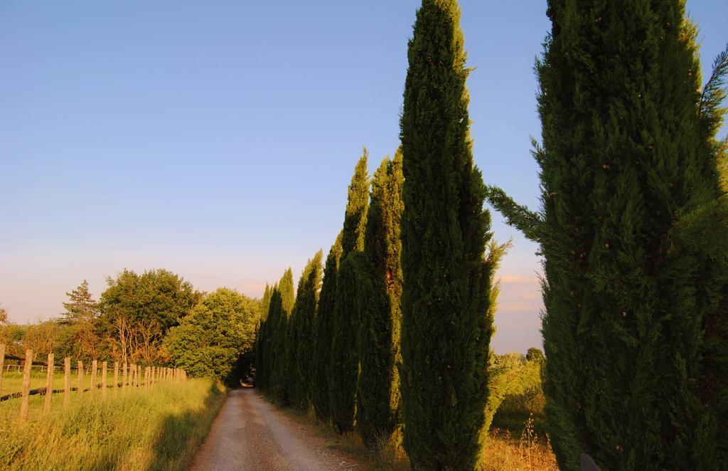 Il Colombaio, Siena -Appartamenti E Camere- Isola d'Arbia Kültér fotó