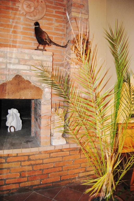 Il Colombaio, Siena -Appartamenti E Camere- Isola d'Arbia Kültér fotó