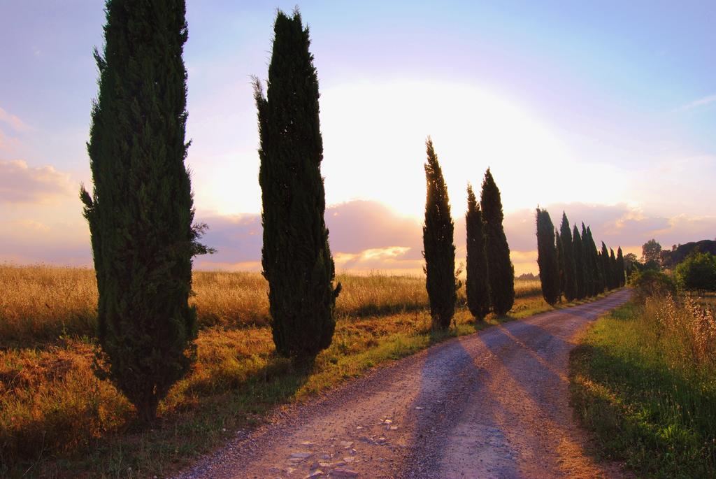 Il Colombaio, Siena -Appartamenti E Camere- Isola d'Arbia Kültér fotó